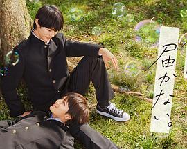 南京网站优化方案ppt